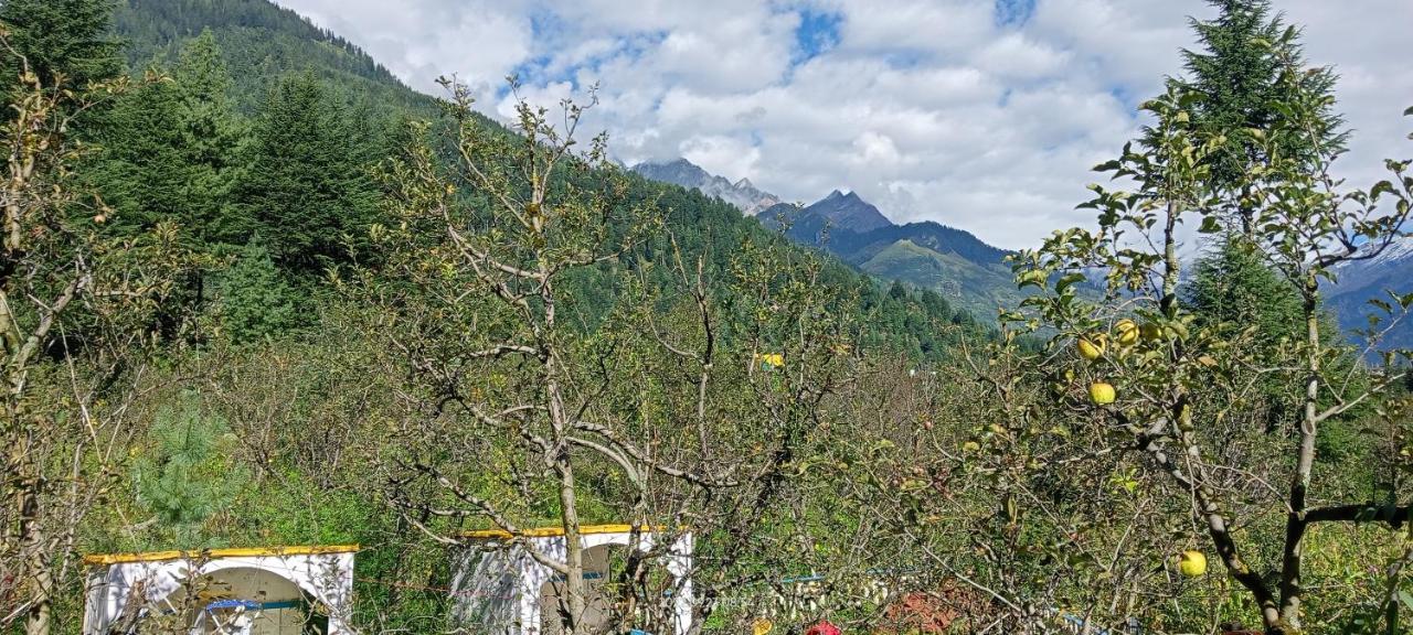 Apple Flower With Balcony And Mountain View Manāli Esterno foto
